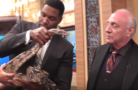 Apresentador Michael Strahan segurando uma cobra após Richard Bandler eliminar sua fobia